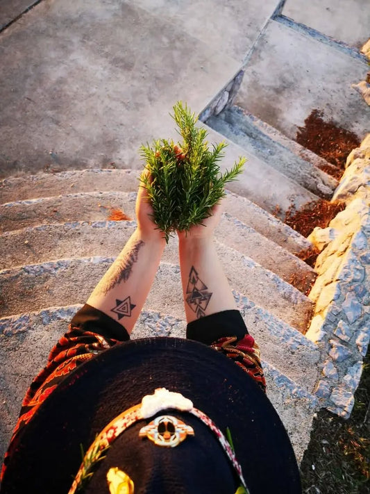 Tko se krije iza Sophira arta